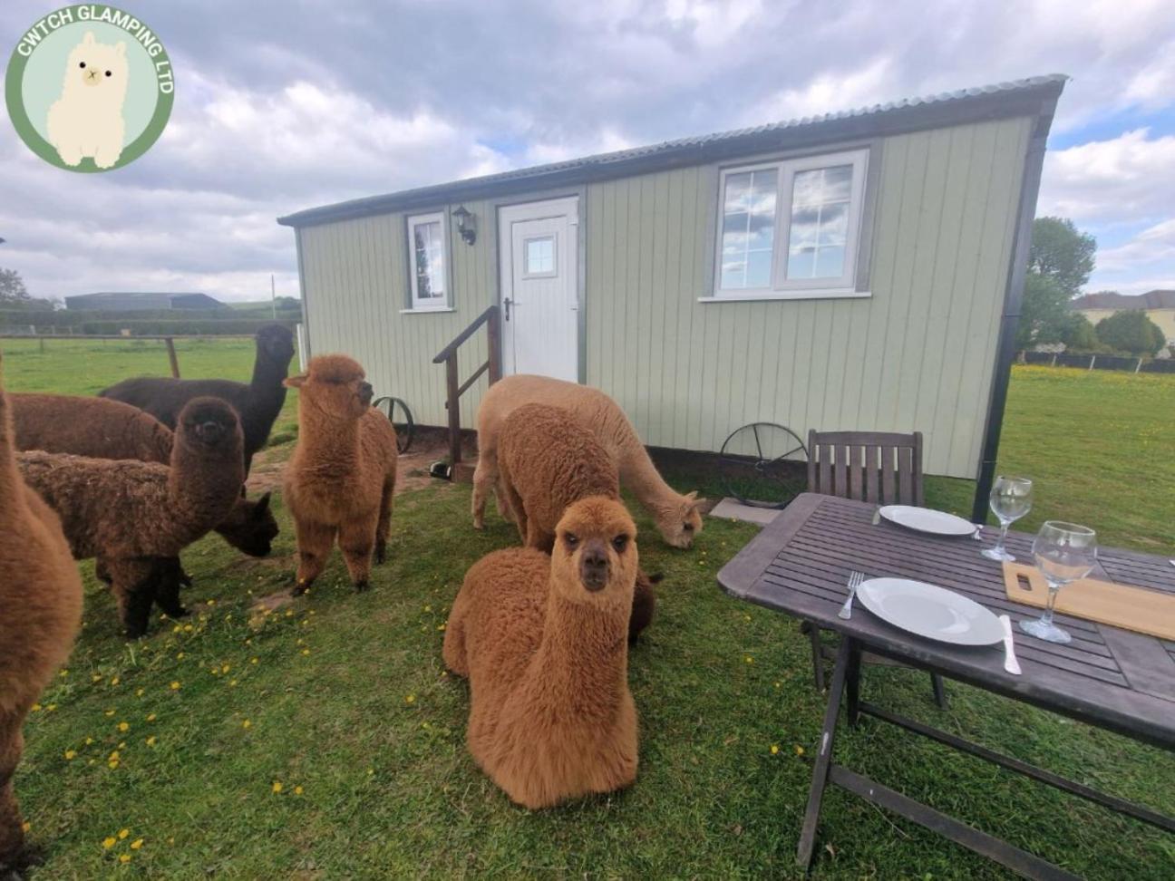 Cwtch Glamping Shepherds Huts Abergavenny Exterior foto